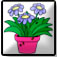 Click here for Florist page.